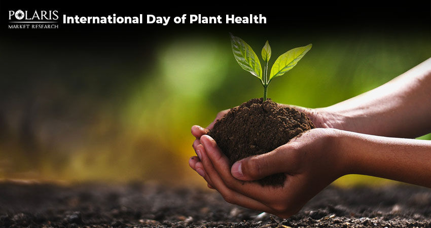 Understanding the Vital Role of Plant Health in a Sustainable Future